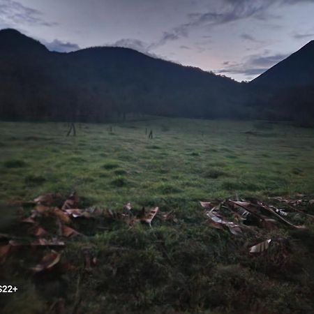 提奥菲利克斯经济山林小屋 La Fortuna 外观 照片