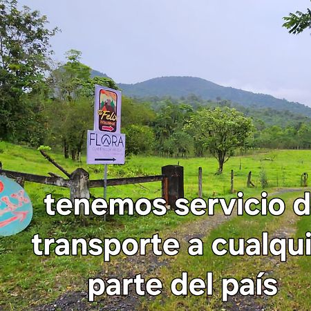 提奥菲利克斯经济山林小屋 La Fortuna 外观 照片