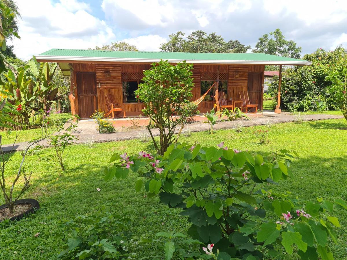 提奥菲利克斯经济山林小屋 La Fortuna 外观 照片