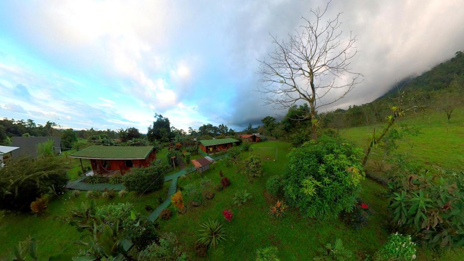 提奥菲利克斯经济山林小屋 La Fortuna 外观 照片