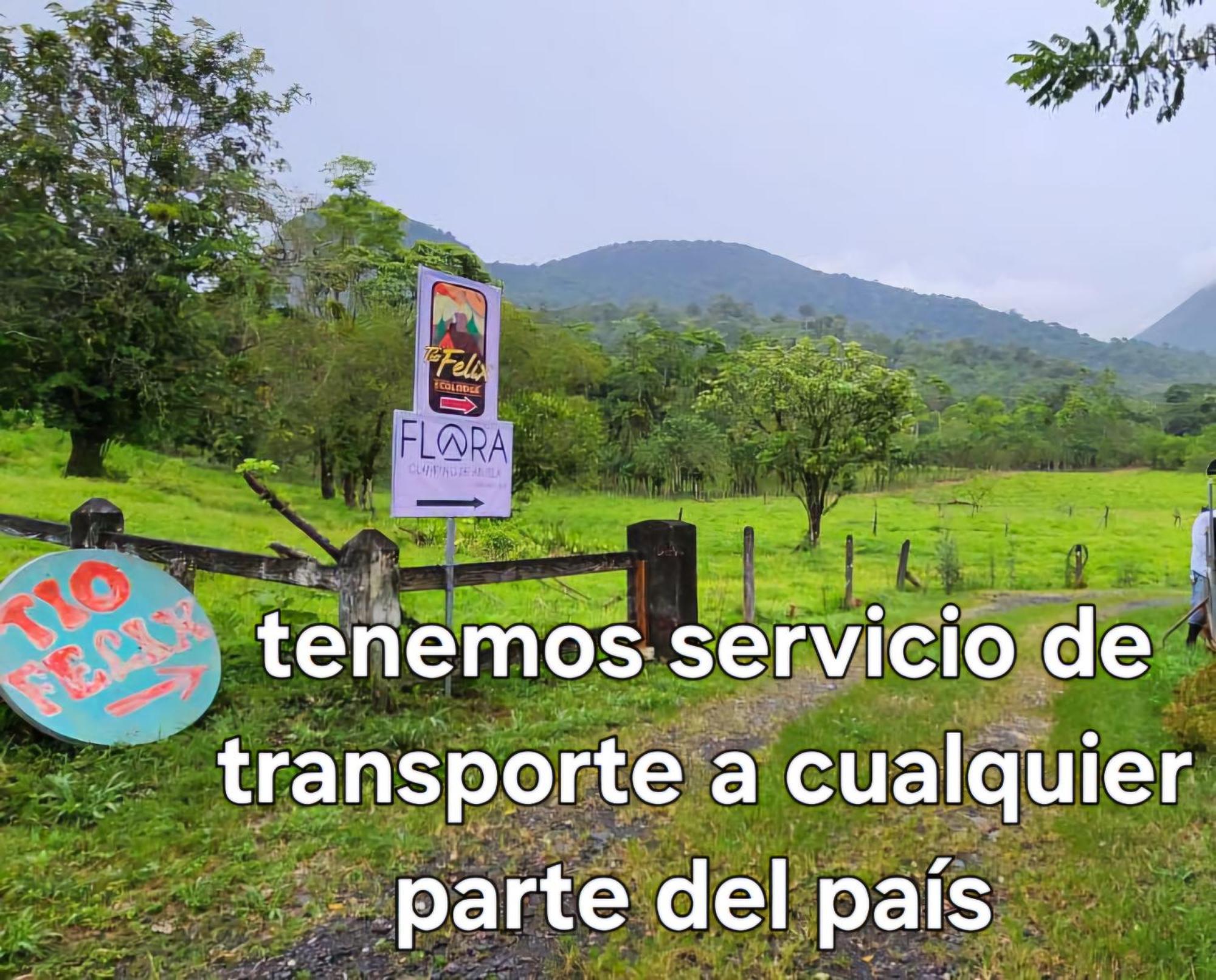 提奥菲利克斯经济山林小屋 La Fortuna 外观 照片