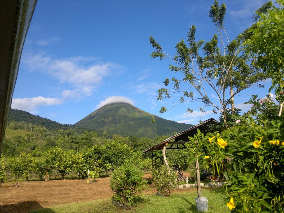 提奥菲利克斯经济山林小屋 La Fortuna 外观 照片