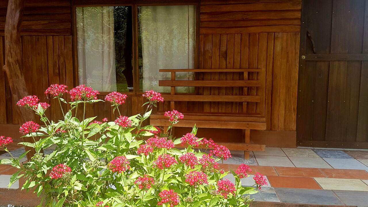 提奥菲利克斯经济山林小屋 La Fortuna 外观 照片
