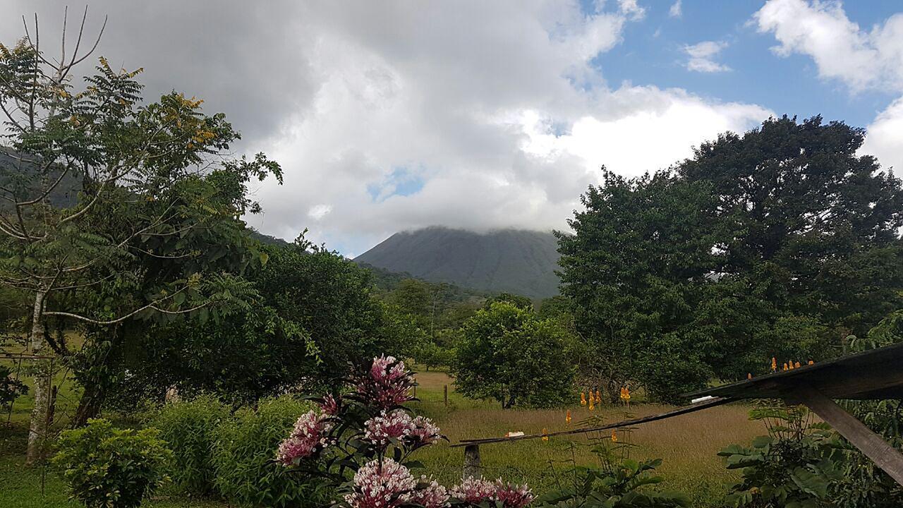 提奥菲利克斯经济山林小屋 La Fortuna 外观 照片