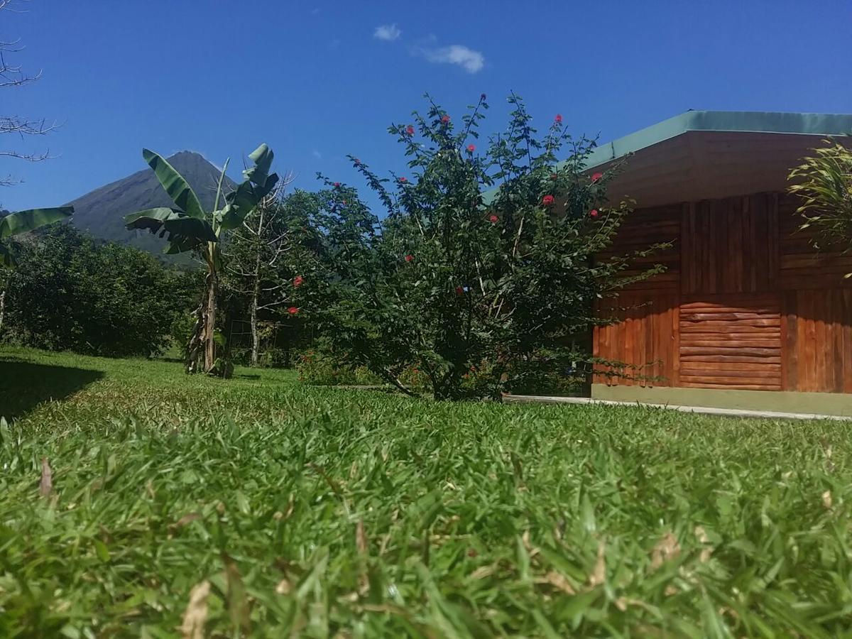 提奥菲利克斯经济山林小屋 La Fortuna 外观 照片