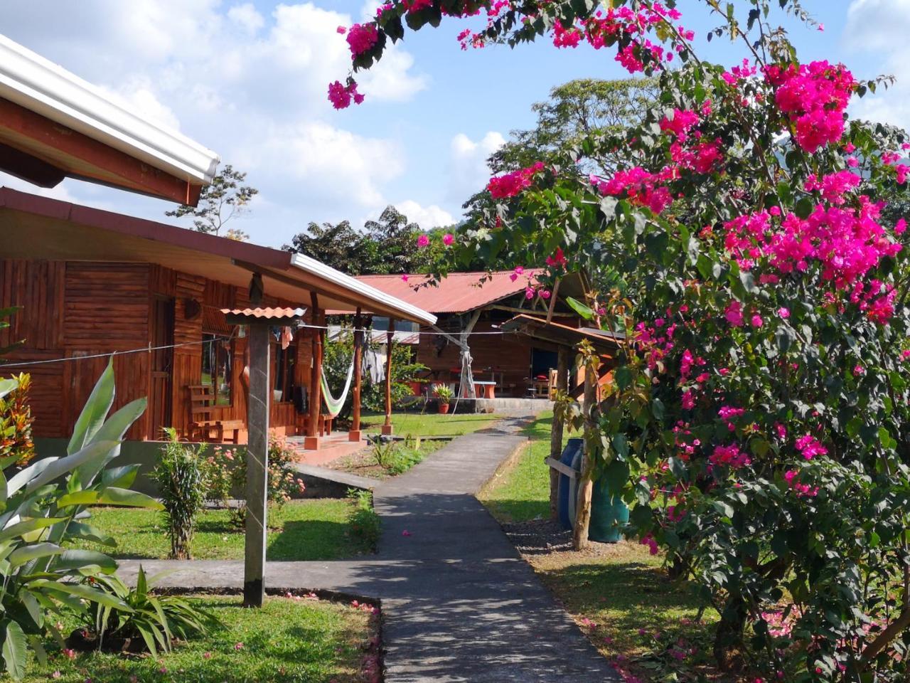 提奥菲利克斯经济山林小屋 La Fortuna 外观 照片